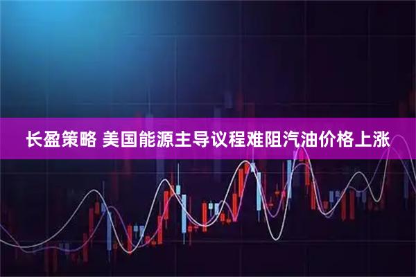 长盈策略 美国能源主导议程难阻汽油价格上涨