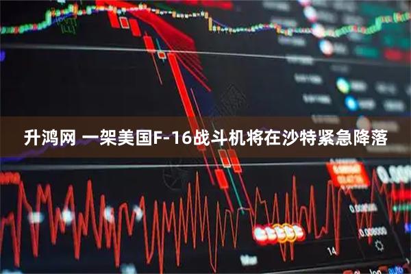 升鸿网 一架美国F-16战斗机将在沙特紧急降落