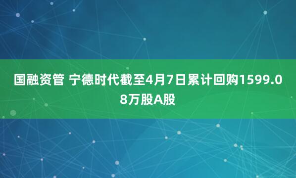 国融资管 宁德时代截至4月7日累计回购1599.08万股A股