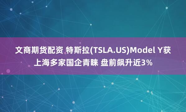 文商期货配资 特斯拉(TSLA.US)Model Y获上海多家国企青睐 盘前飙升近3%