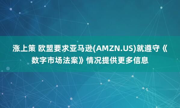 涨上策 欧盟要求亚马逊(AMZN.US)就遵守《数字市场法案》情况提供更多信息