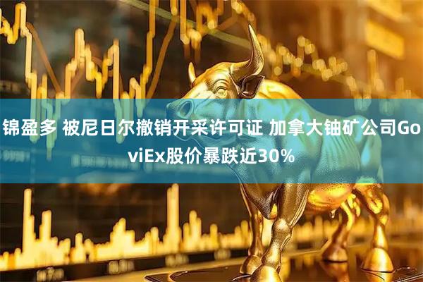 锦盈多 被尼日尔撤销开采许可证 加拿大铀矿公司GoviEx股价暴跌近30%
