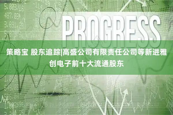 策略宝 股东追踪|高盛公司有限责任公司等新进雅创电子前十大流通股东
