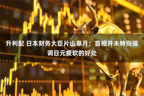 升利配 日本财务大臣片山皋月：首相并未特别强调日元疲软的好处