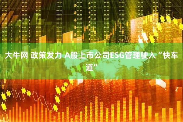 大牛网 政策发力 A股上市公司ESG管理驶入“快车道”