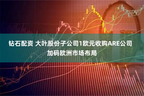钻石配资 大叶股份子公司1欧元收购ARE公司  加码欧洲市场布局