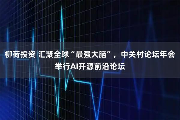 柳荷投资 汇聚全球“最强大脑”，中关村论坛年会举行AI开源前沿论坛