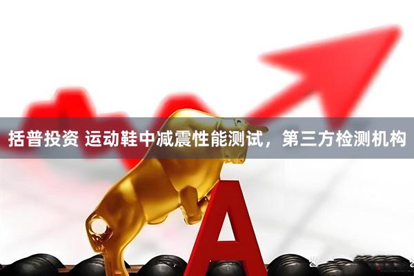 括普投资 运动鞋中减震性能测试，第三方检测机构