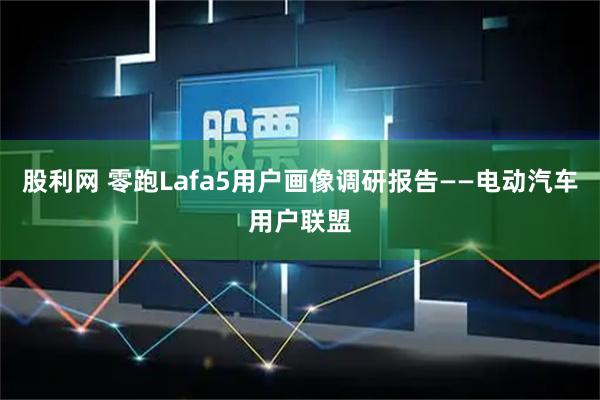 股利网 零跑Lafa5用户画像调研报告——电动汽车用户联盟