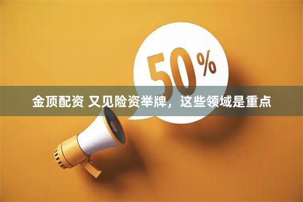 金顶配资 又见险资举牌，这些领域是重点
