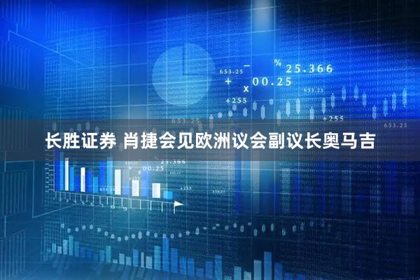 长胜证券 肖捷会见欧洲议会副议长奥马吉