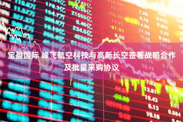 宝盈国际 峰飞航空科技与高新长空签署战略合作及批量采购协议